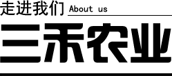微信